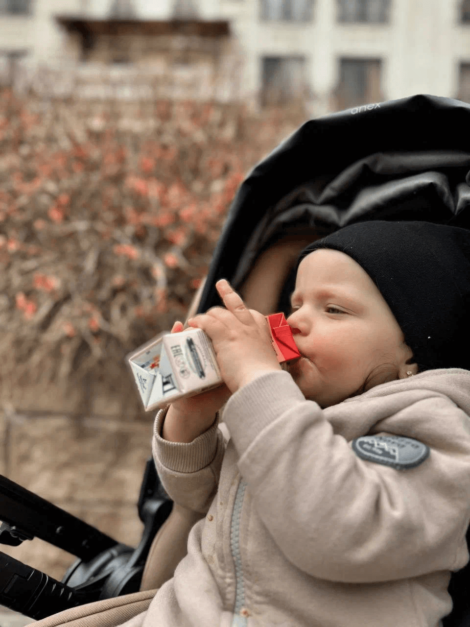 Baby in stroller